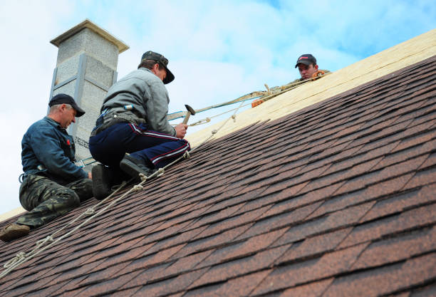 Best Gutter Installation and Roofing  in Wyldwood, TX